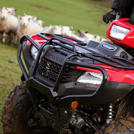 Fourtrax, cen&aacute;rio de montanha.