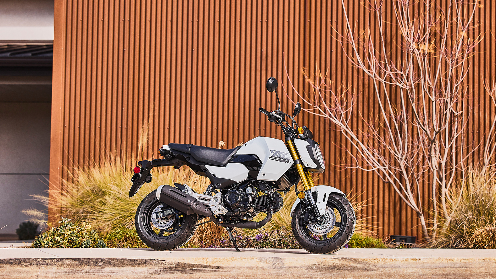 MSX125 Grom de lado, numa imagem estática, em branco