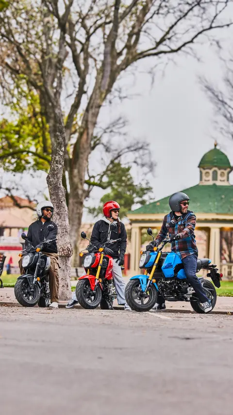 Condutores de MSX125 Grom a circularem juntos