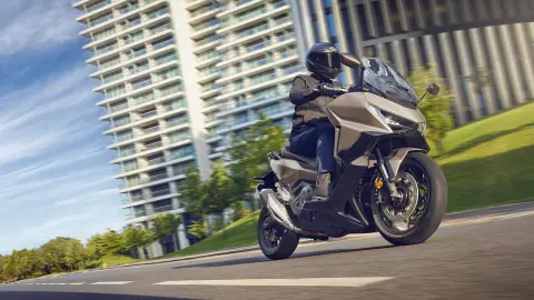 Gama da família Forza