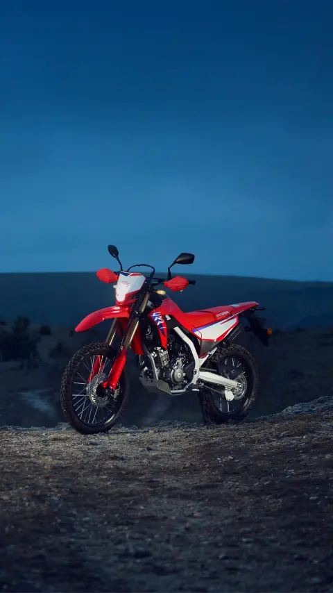 Moto Honda CRF300L e CRF300 Rally.