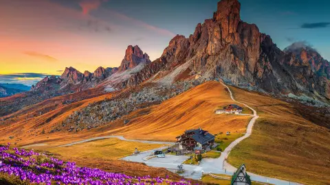 Maravilhosa paisagem alpina com flores de açafrão da primavera na colina e espetaculares montanhas ao pôr-do-sol, passo de Giau, Dolomitas, Itália, Europa