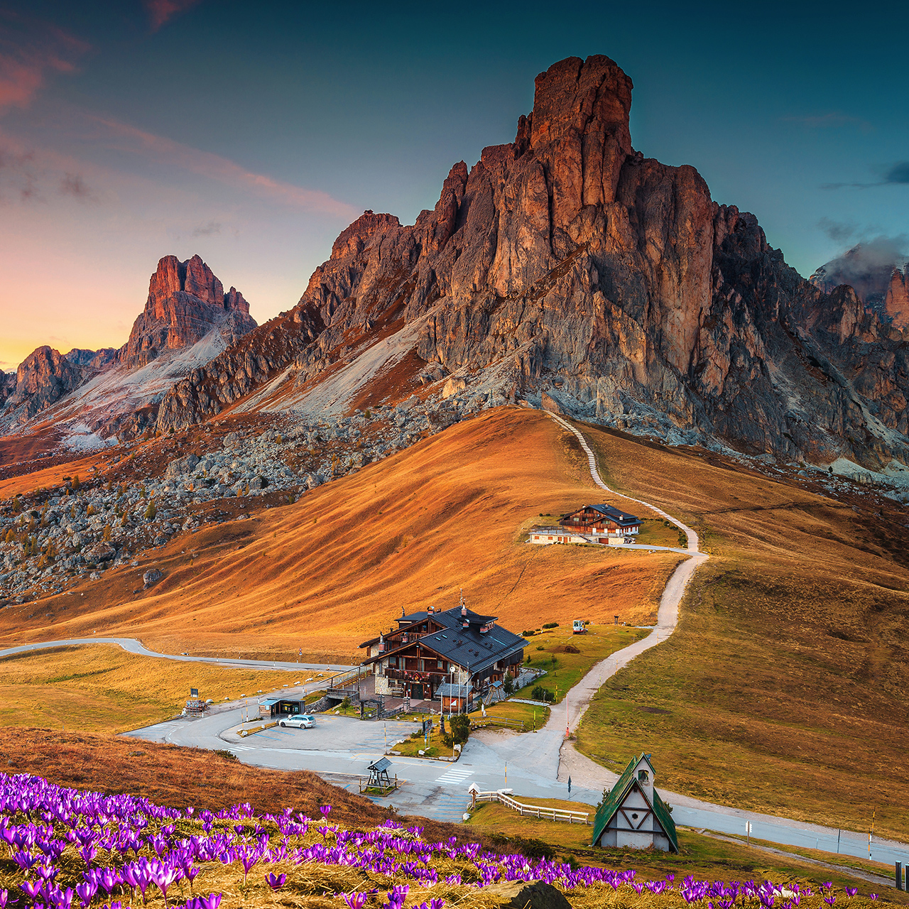 Maravilhosa paisagem alpina com flores de açafrão da primavera na colina e espetaculares montanhas ao pôr-do-sol, passo de Giau, Dolomitas, Itália, Europa