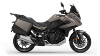 NT1100 MT 2025 Matte Warm Ash Metallic (YR-386)
