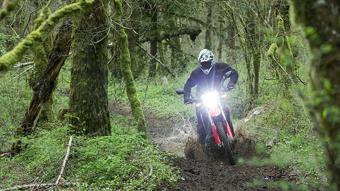 Vista dianteira da CRF450L em estrada de terra numa floresta.