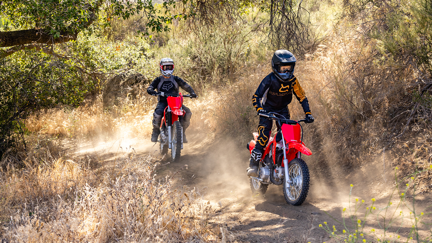 CRF110F
