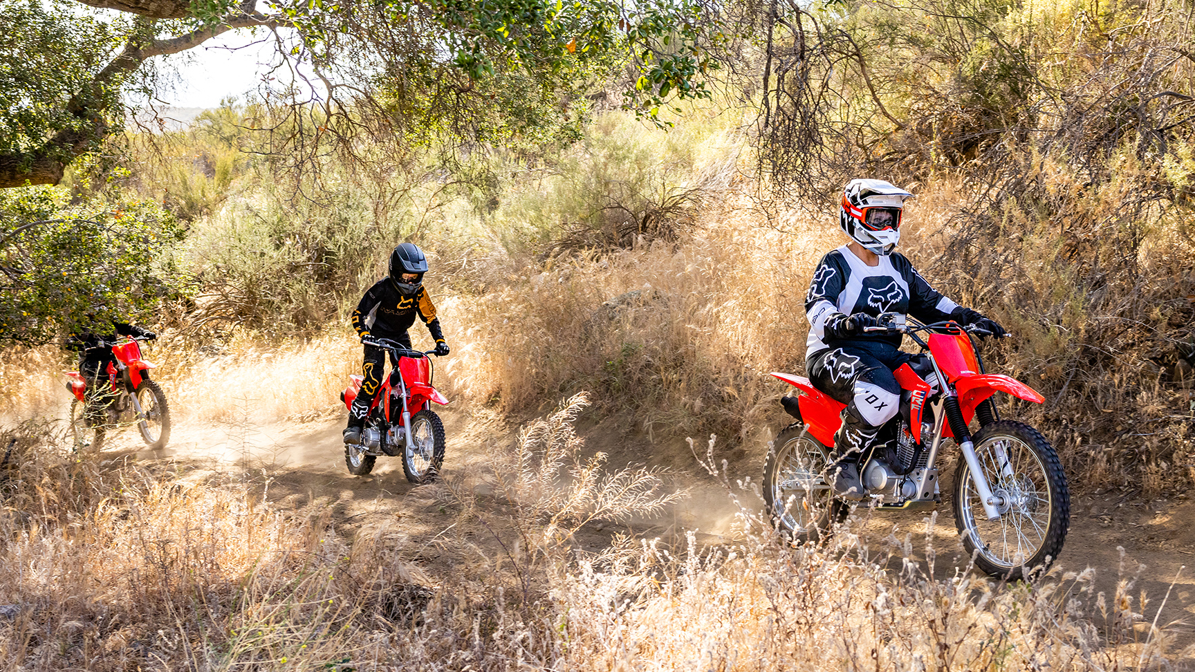 CRF125F