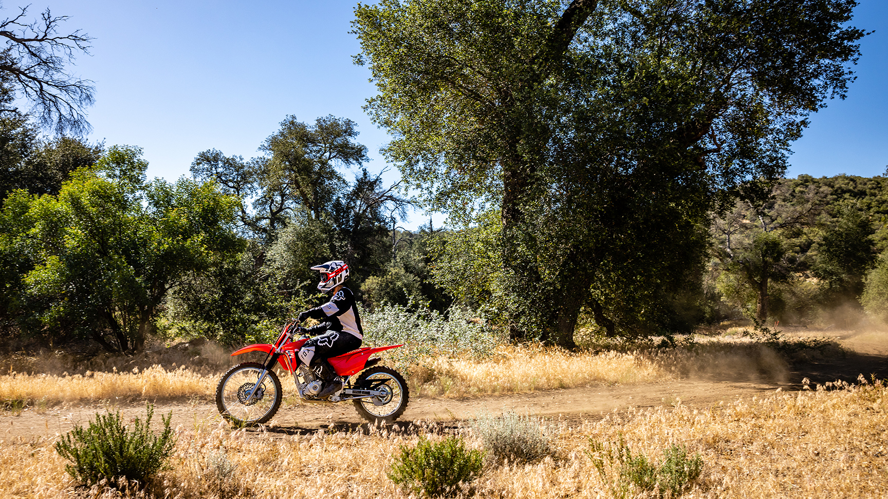 CRF125F