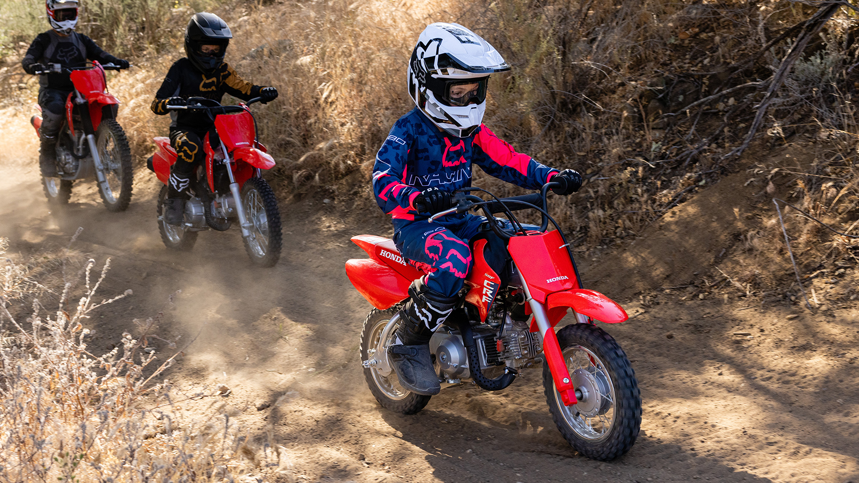 Família CRF50F