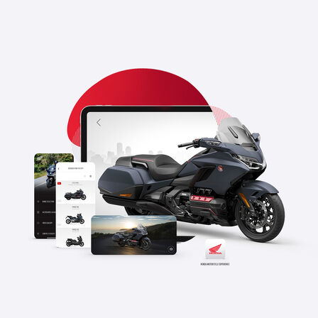 Vista da aplicação HONDA GL800 Gold Wing