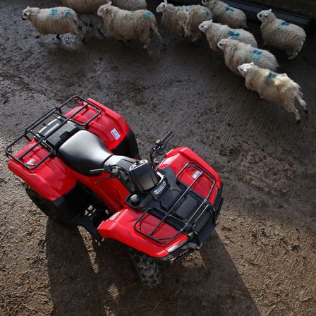 Fourtrax 420 utilizado por modelo, cen&aacute;rio de campo.